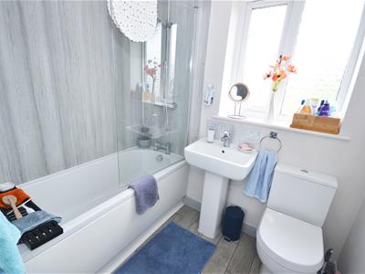 Picture 11